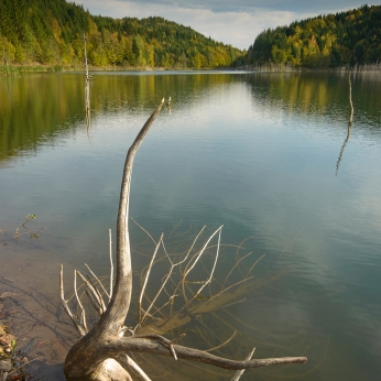 Parcul Natural Vânători - Neamț